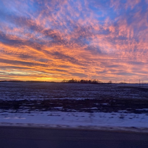 Meet your Posher, Kaline - Picture 1 of 1